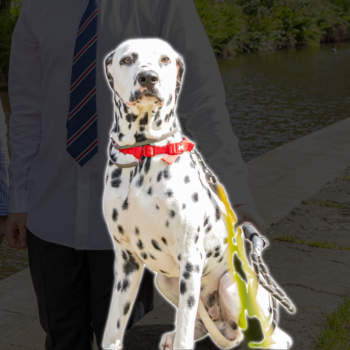 Gus